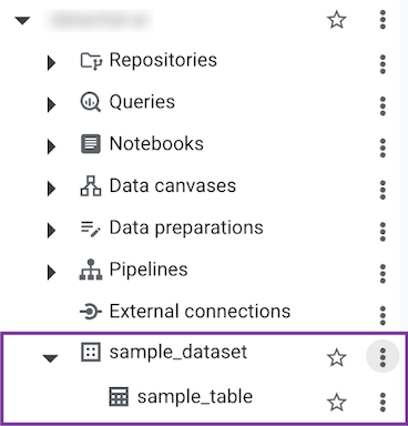 dataset name