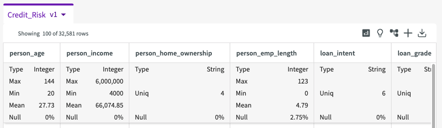 Describe dataset