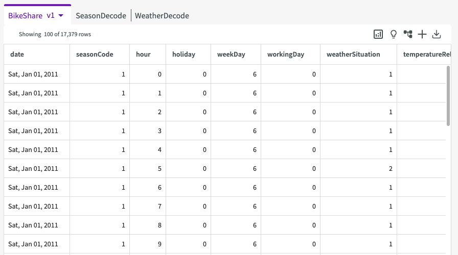 Bikeshare Data