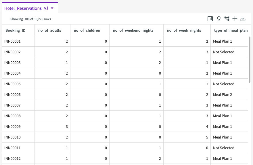 Hotel Booking Dataset